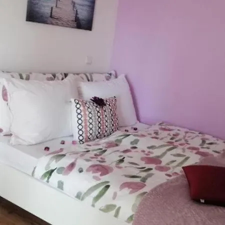 Sara 1 *